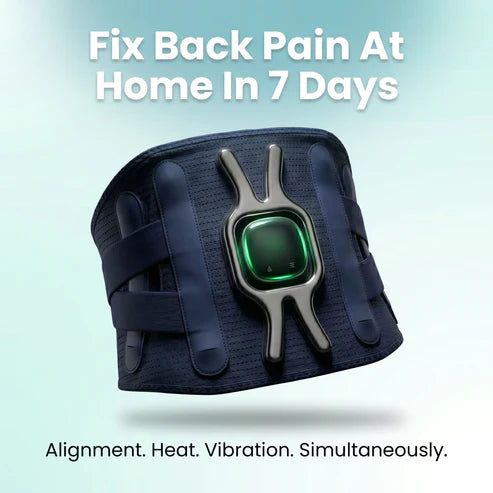 Jelymax X Multi-functional Heating Belt